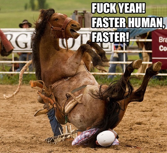 horse riding human - Fuck Yeah! Faster Human, Faster! Bre