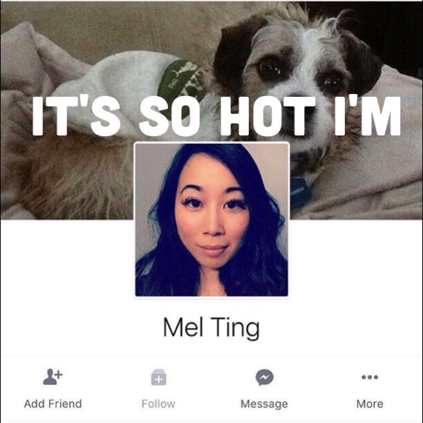 its so hot im mel ting - It'S So Hot I'M Mel Ting Add Friend Message More