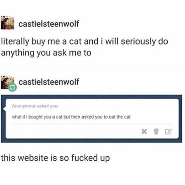 web page - castielsteenwolf literally buy me a cat and i will seriously do anything you ask me to castielsteenwolf Anonymous asked you what if i bought you a cat but then asked you to eat the cat this website is so fucked up