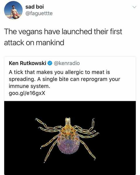 The vegan weaponize bug against mankind to make all it bites allergic to meat