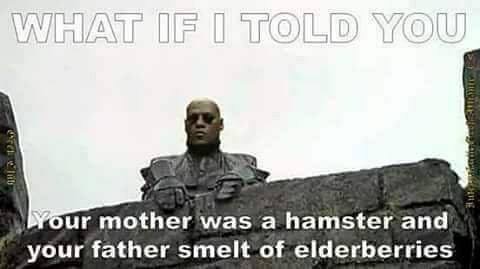 What if I told you Morpheus meme about your parents