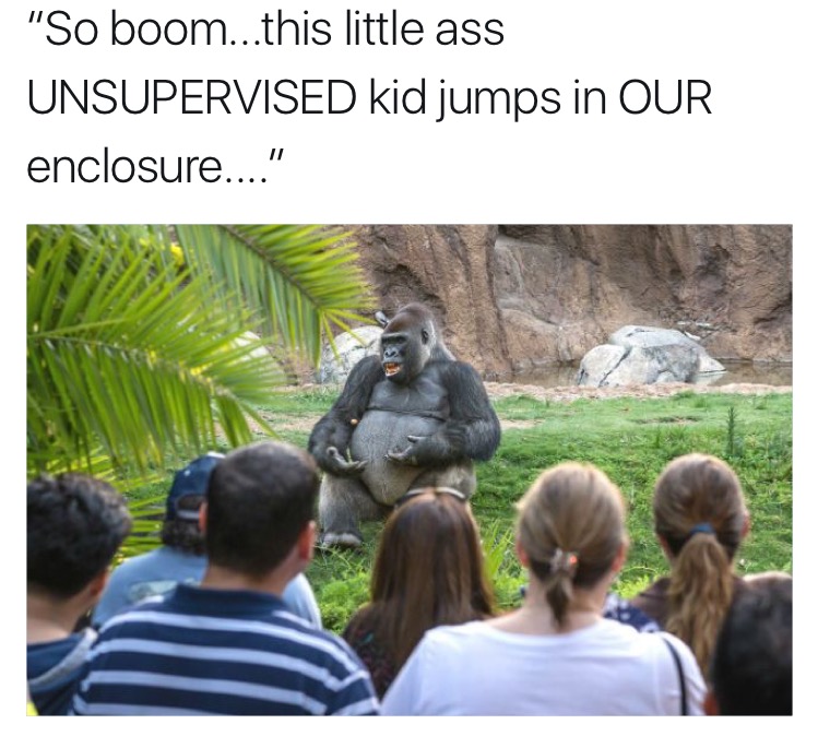 Gorilla telling a group of students the tale of Harambe.