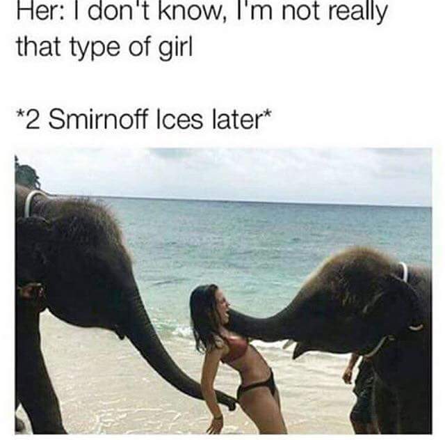 Girl playing with two elephant trunks with caption about her saying she is not that type of girl