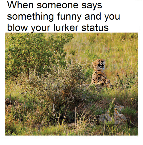 Meme of a cheetah that blew his lurker status.