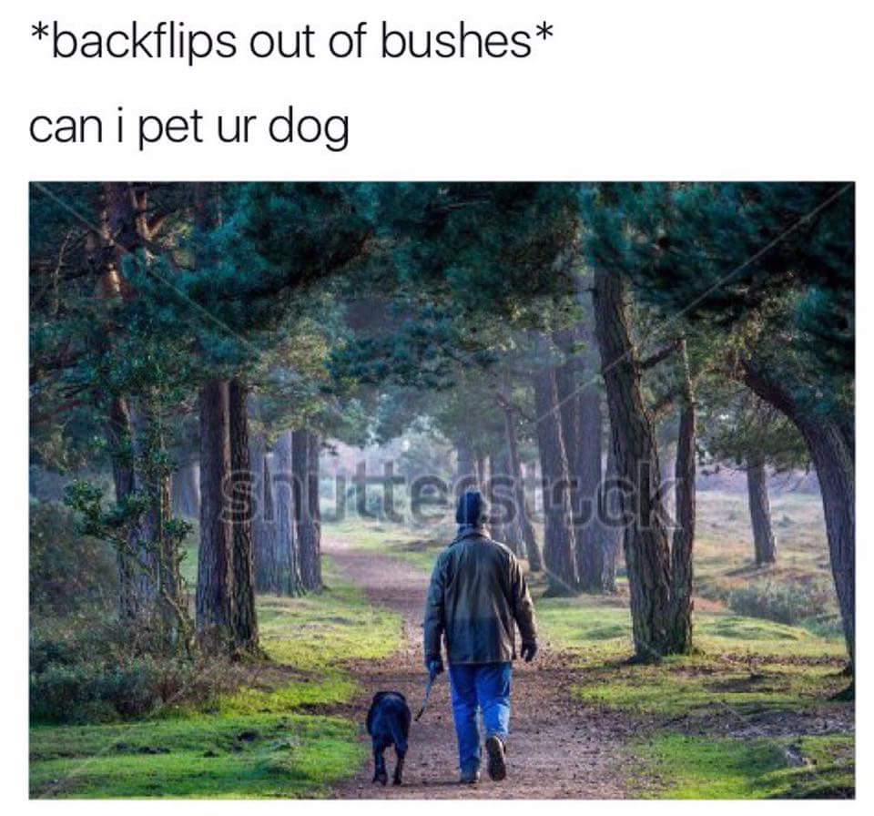 Man walking through the forest with dog meme.