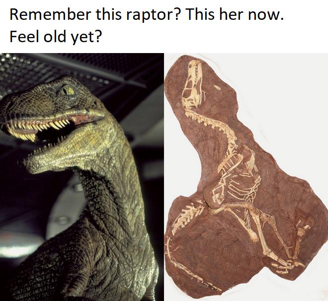 Feel old yet meme of the velociraptor from Jurassic Park