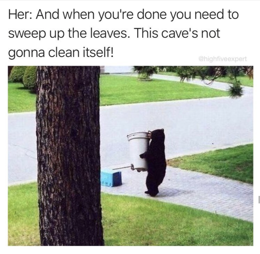 laugh die laughing funny animal memes - Her And when you're done you need to sweep up the leaves. This cave's not gonna clean itself!