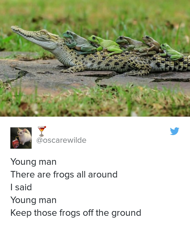 memes - caiman frogs - Young man There are frogs all around I said Young man Keep those frogs off the ground