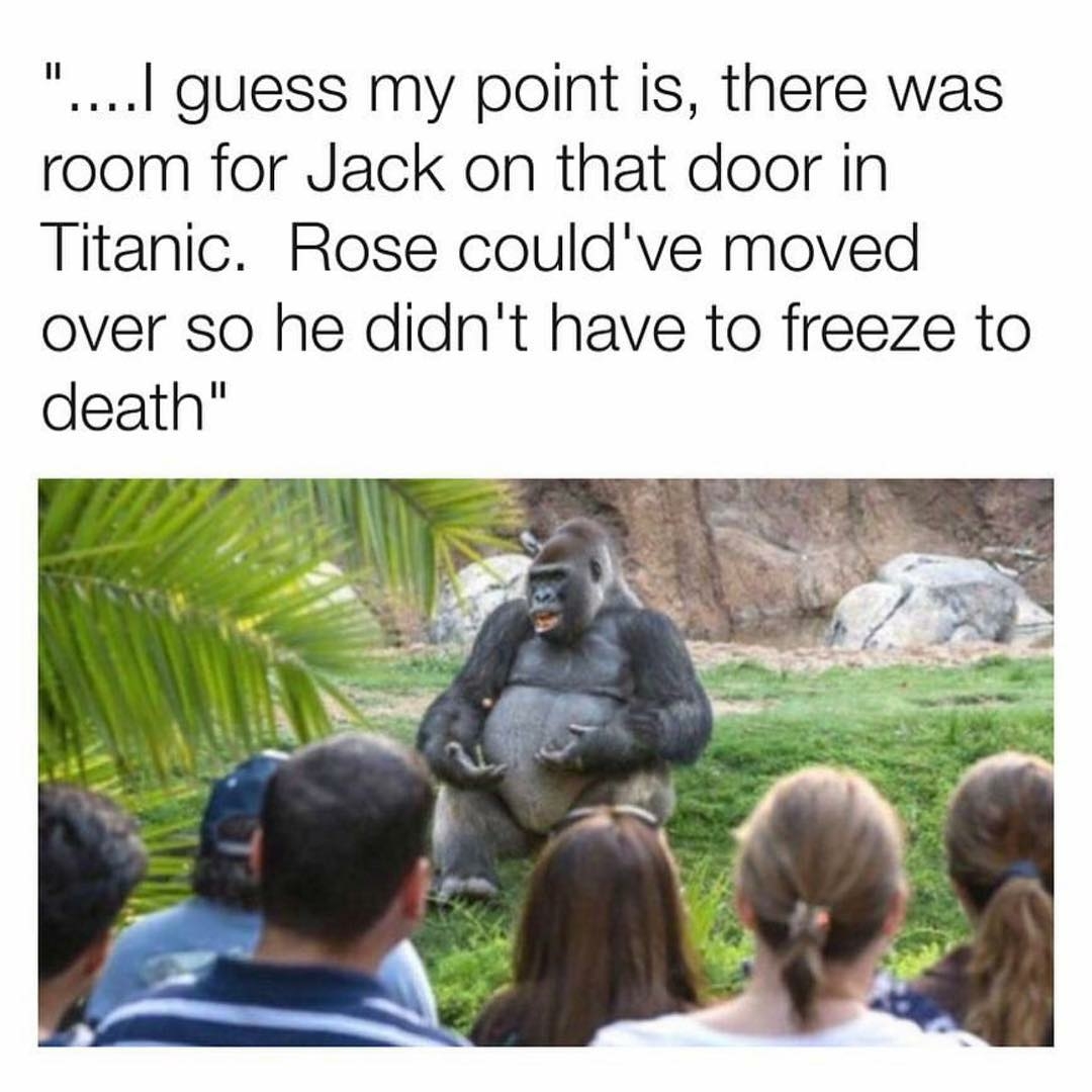 memes - ted talk gorilla meme - "....I guess my point is, there was room for Jack on that door in Titanic. Rose could've moved over so he didn't have to freeze to death"