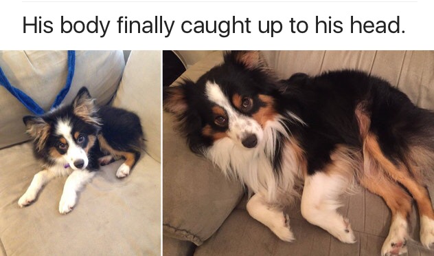 33 Fresh Memes To Kick Start Your Day