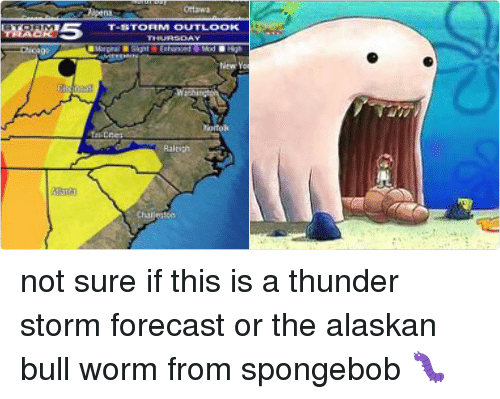 Thunderstorm on the screen looks like the Alaskan Bull Worm from Spongebob