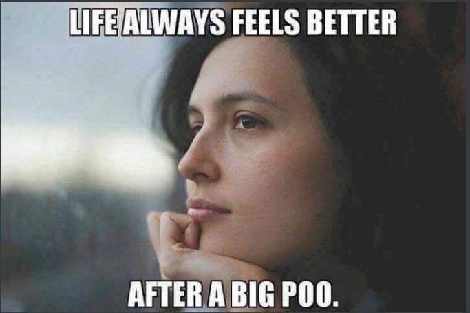 Woman staring off deeply captioned saying that life always feel better after a big poo