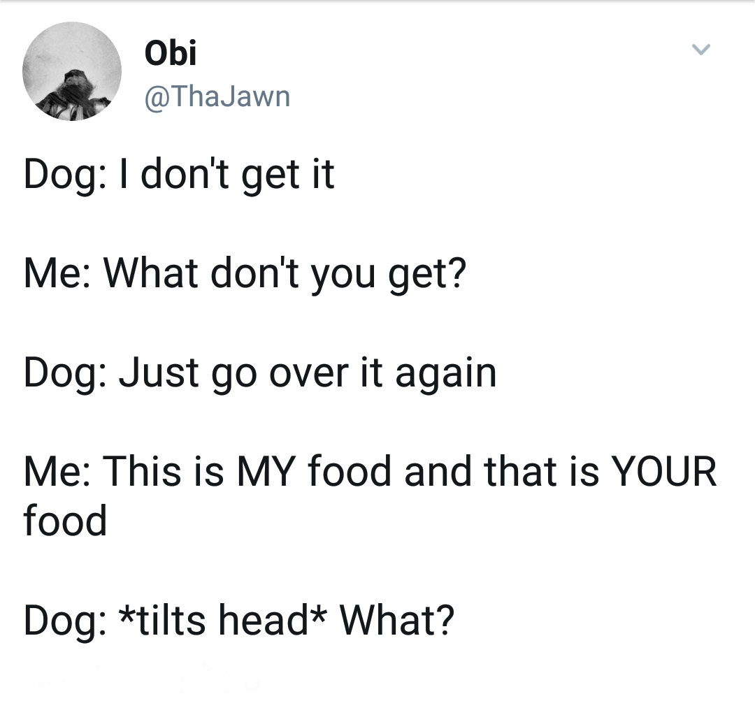Tweet that looks like someone explaining to the dog why the food isn't shared between them.