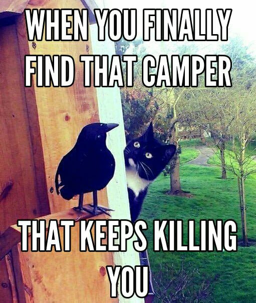 Cat sneaking up on a wooden raven bird as a camp meme