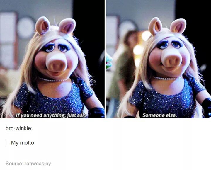 Miss piggy meme about if you need anything, just ask someone else.