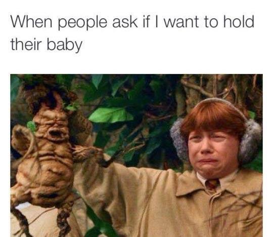 Harry Potter meme on not wanting to hold someone's baby.