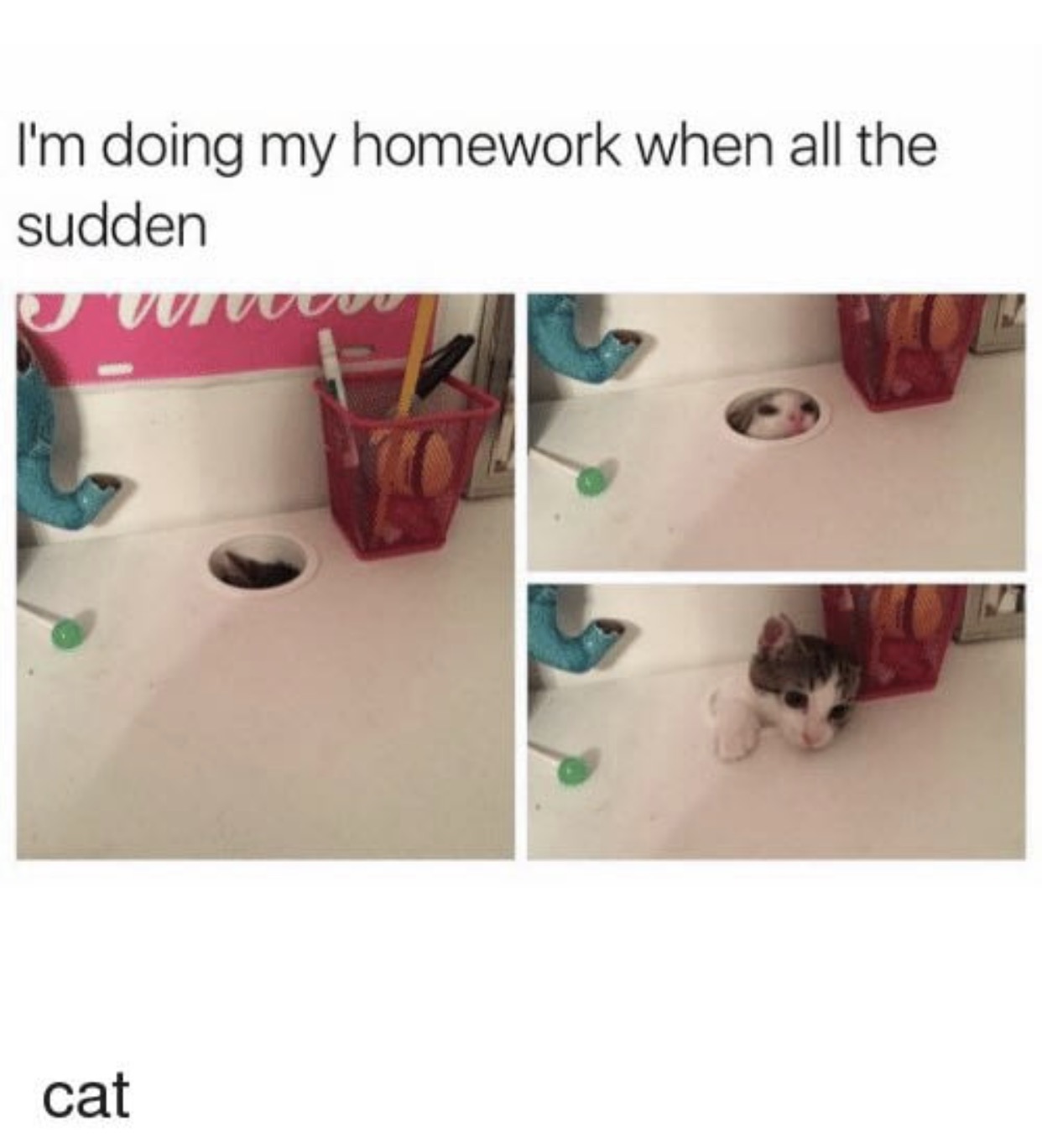 home work meme of cat climbing through computer cable hole