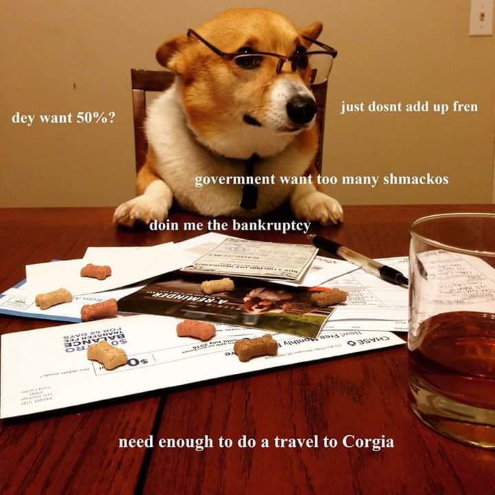 Dog meme
