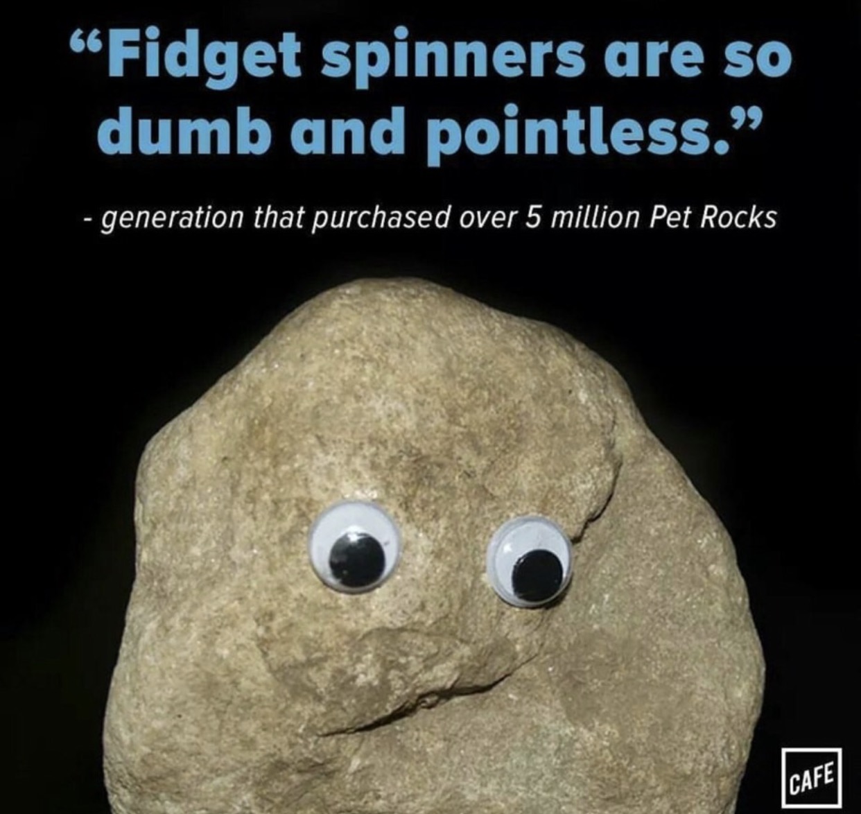 rock - Fidget spinners are so dumb and pointless." generation that purchased over 5 million Pet Rocks Cafe