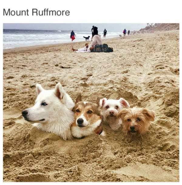 mount ruffmore - Mount Ruffmore