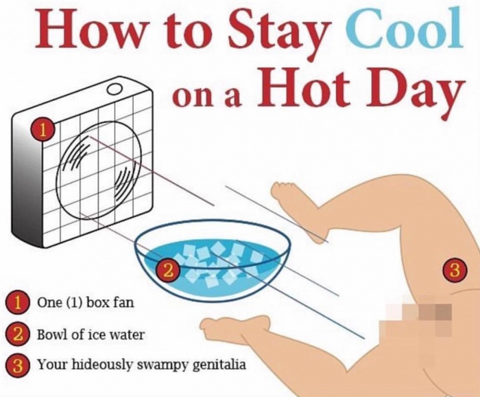 stay cool on a hot day - How to Stay Cool qon a Hot Day 1 One 1 box fan 2 Bowl of ice water 3 Your hideously swampy genitalia