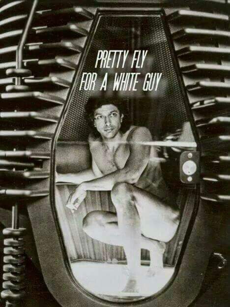 Jeff Goldblum in The Fly with caption joking that he is 'Pretty Fly for a White Guy'