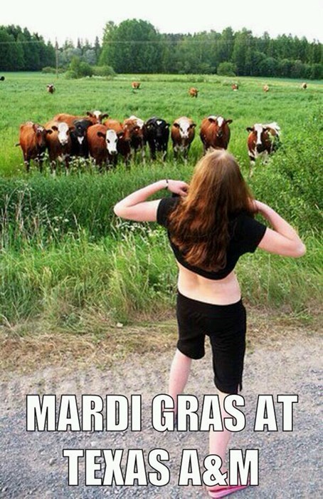 Girl flashing a bunch of cows