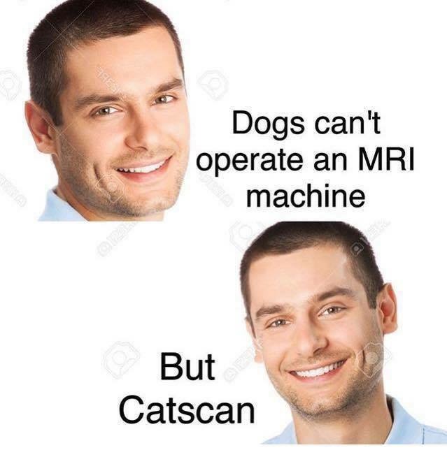 MRI catscan joke, really bad pun