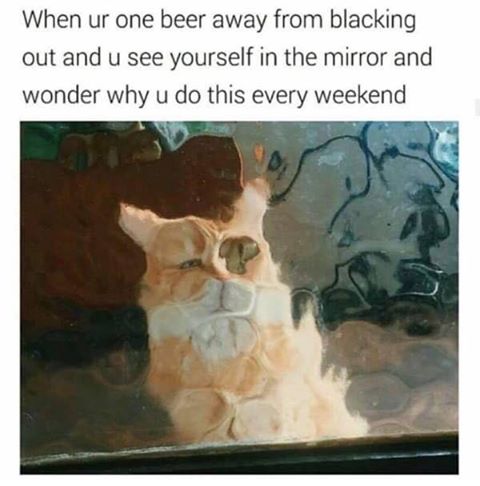 Cat in wobbly mirror about the feeling when you see your reflection while partying too hard.