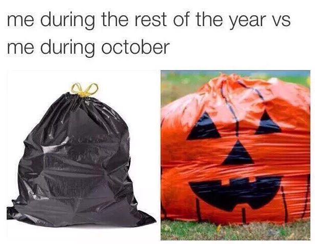 halloween memes - me during the rest of the year vs me during october