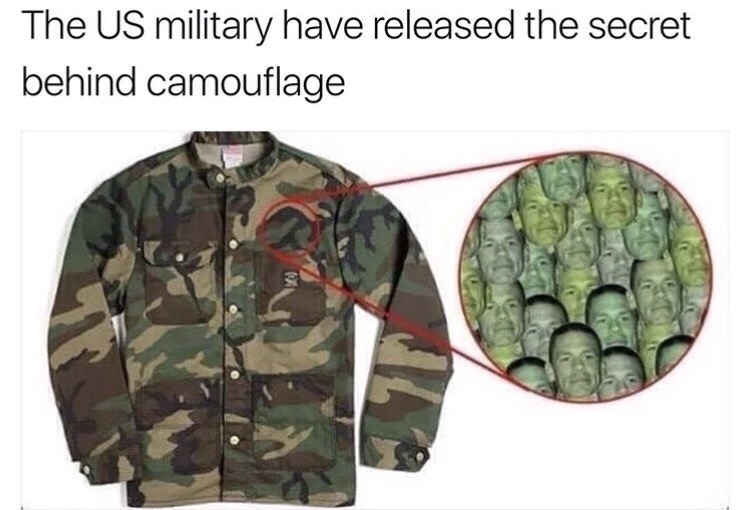 can t see camo meme - The Us military have released the secret behind camouflage