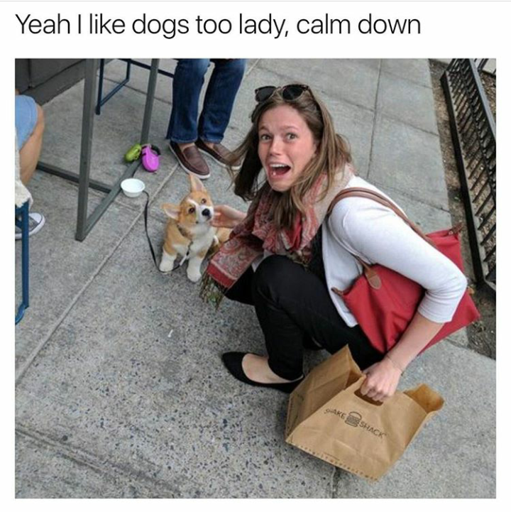 woman very excited to meet a dog.