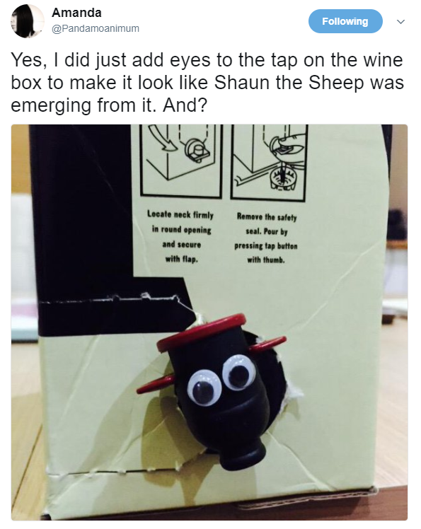 Googly eyes put onto wine carton to make it look like Shaun The Sheep