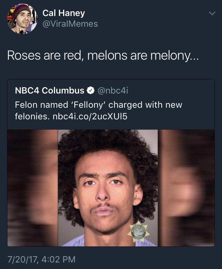 Felon named fellony charged with new felonies.
