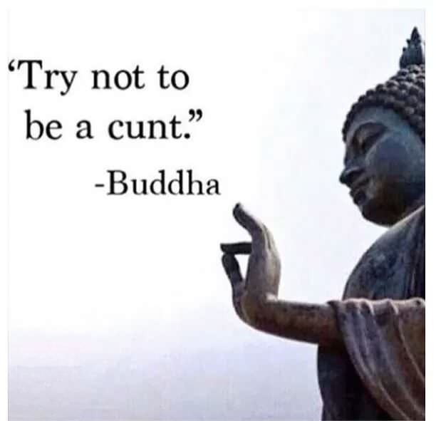 try not to be a cunt buddha - Try not to be a cunt." Buddha