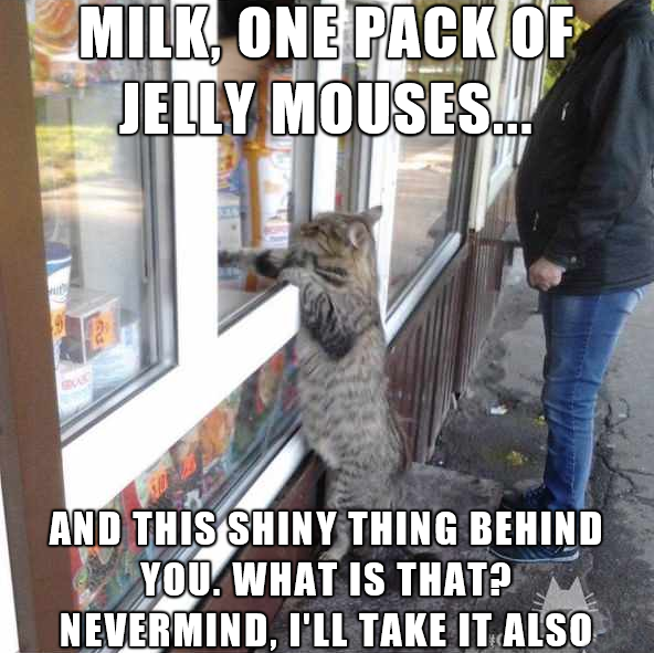 you re the only cashier - Milk, Onep E Pack Of Jelly Mouses. And This Shiny Thing Behind You. What Is That? Nevermind, I'Ll Take It Also