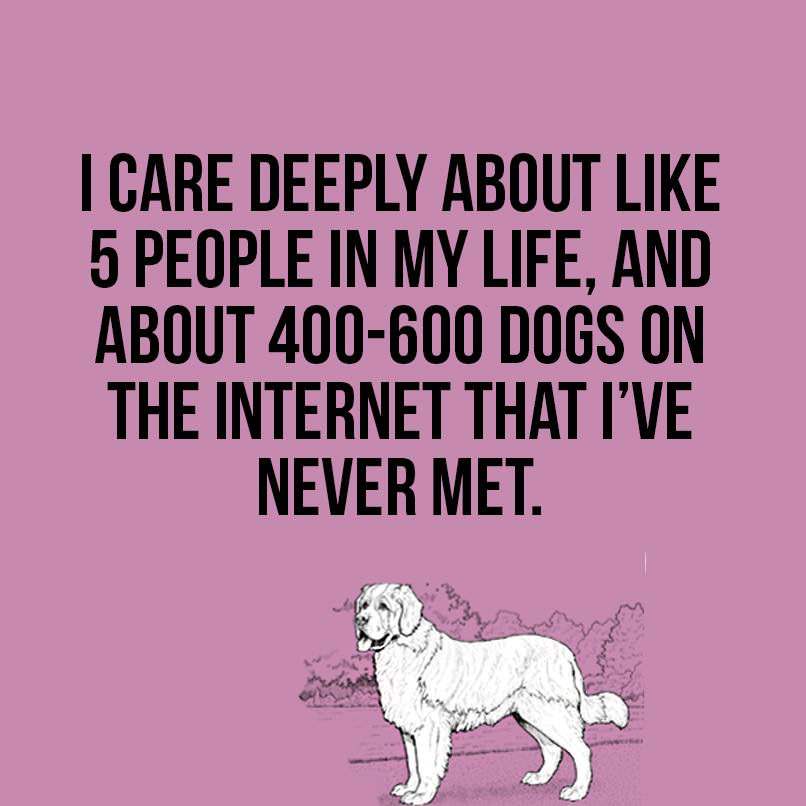 sign - I Care Deeply About 5 People In My Life, And About 400600 Dogs On The Internet That I'Ve Never Met.