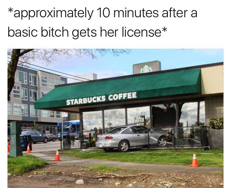 basic bitch meme starbucks - approximately 10 minutes after a basic bitch gets her license Starbucks Coffee