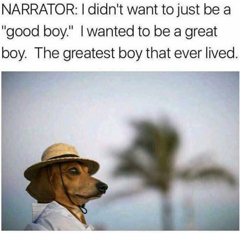didn t want to just - Narrator I didn't want to just be a "good boy." I wanted to be a great boy. The greatest boy that ever lived.