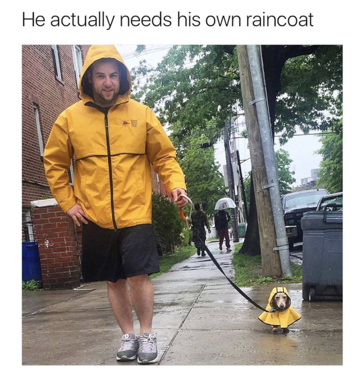 randomness funny - He actually needs his own raincoat