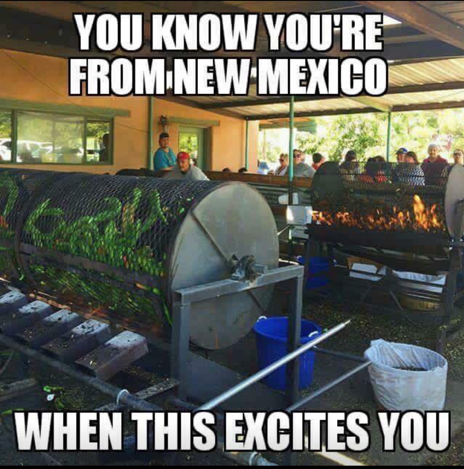 vehicle - You Know You'Re From New Mexico When This Excites You