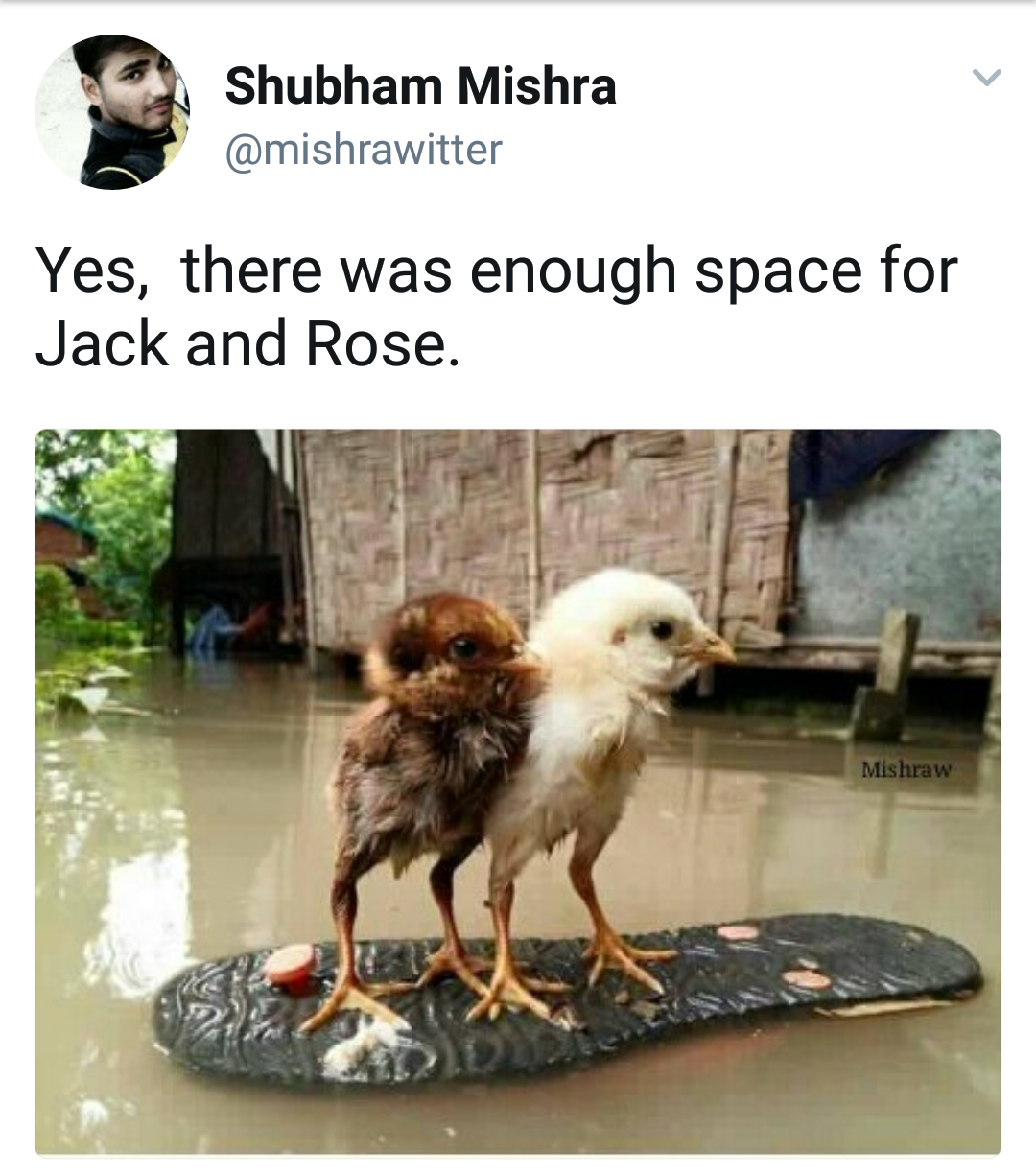 2 birds on a flip-flop with caption about how the Titanic could have had enough space for Jack and Rose.