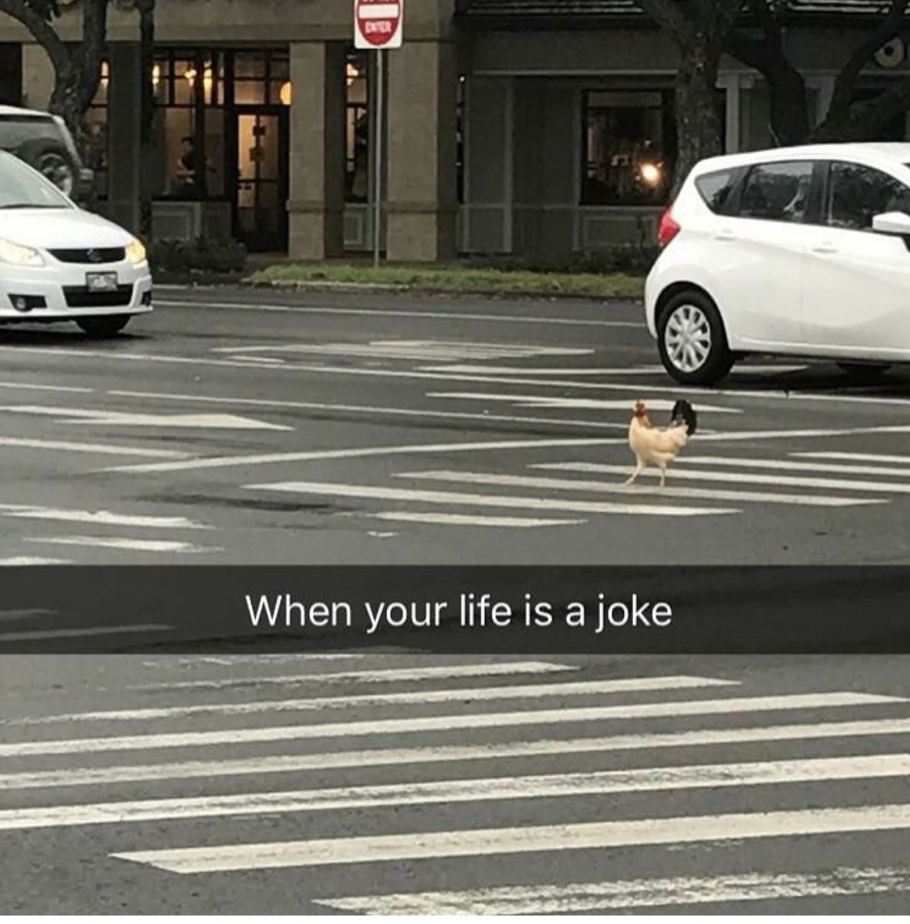 Snapchat meme of a chicken crossing the road.