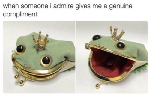Funny frog change purse made into meme about how it feels when someone I admire gives a genuine compliment.