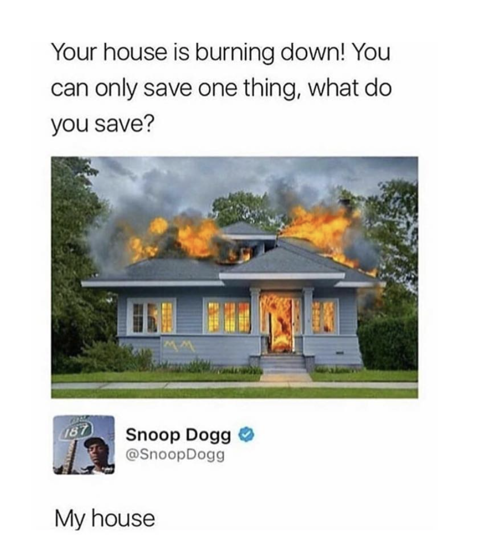 meme stream - snoop dogg my house - Your house is burning down! You can only save one thing, what do you save? Snoop Dogg Dogg My house