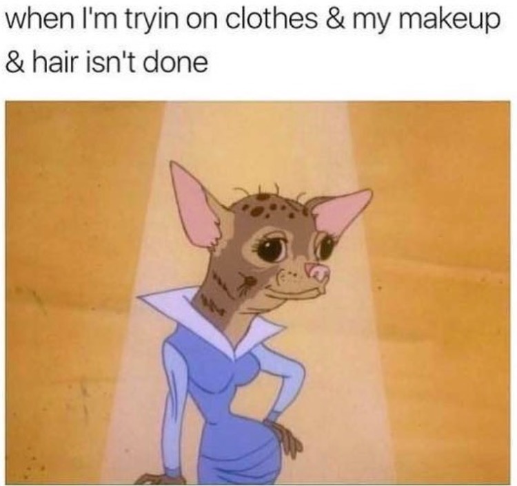 Funny meme about how it feels when you try on new clothes and haven't bothered with the hair or makeup.