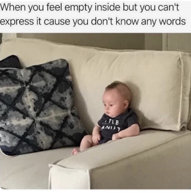 Funny meme of a kid who feels empty inside because he doesn't know any words yet to express it.