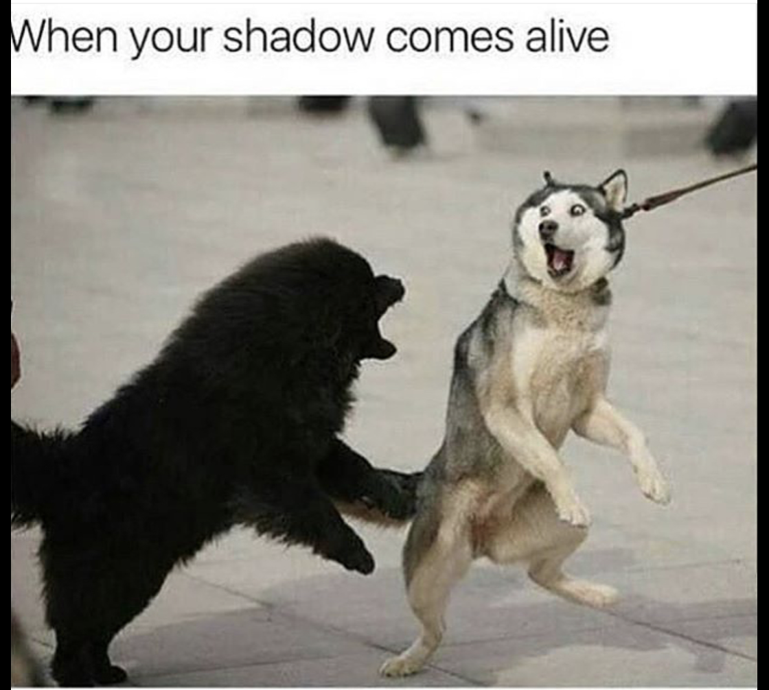 meme stream - When your shadow comes alive