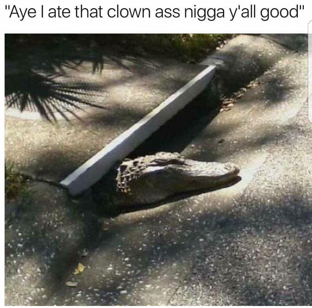 meme stream - aye i ate that clown ass nigga yall good - "Aye I ate that clown ass nigga y'all good" "Aye I ate that clown