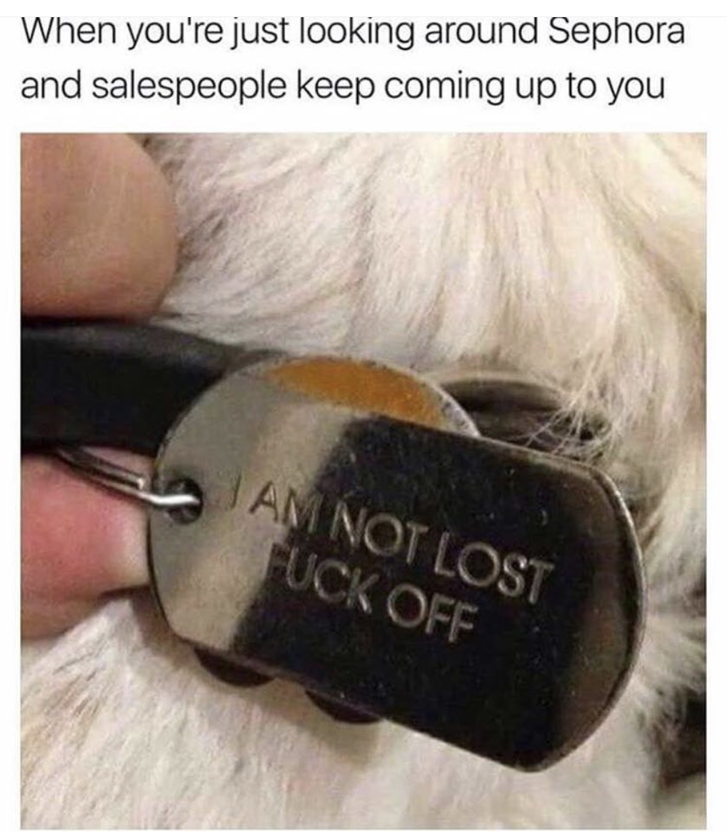 memes - funny dog collar tags - When you're just looking around Sephora and salespeople keep coming up to you Am Not Lost Fuck Off